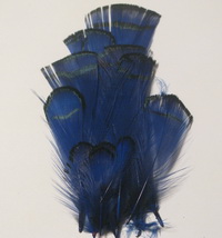 lady Amherst tippet feathers (12 fs) royal blue